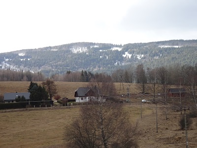 DSC00633
