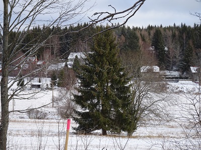 DSC00717