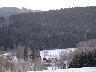 DSC00720