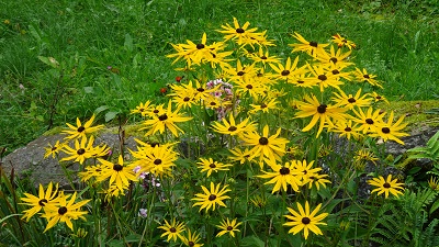 DSC08703