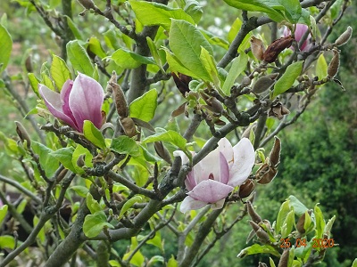 DSC00116