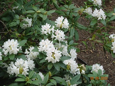 DSC00122