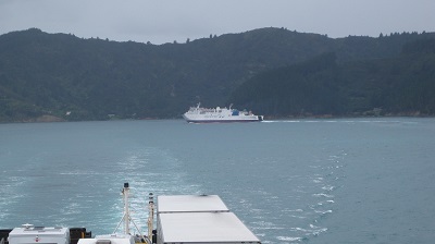 IMG 8873