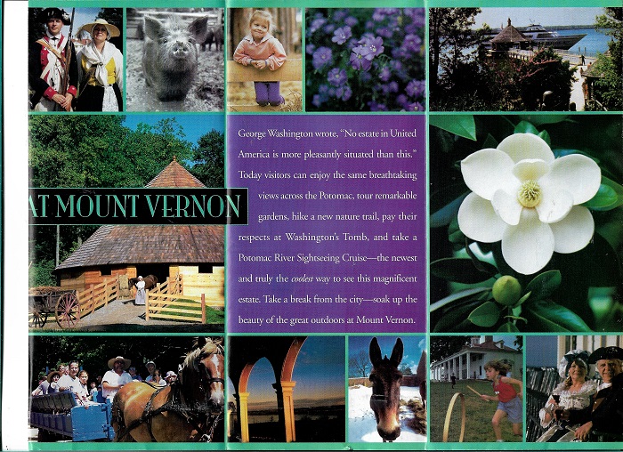 vernon 003