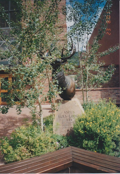 Aspen 1 001