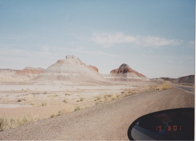 Arizona 1 002