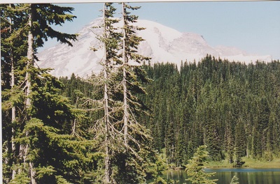 HELENS 005