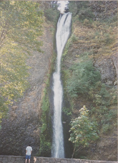 Horsetail 002