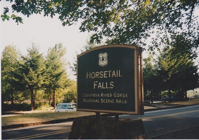 Horsetail 003