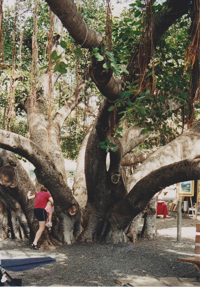 Lahaina 001