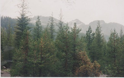 Lassen 004