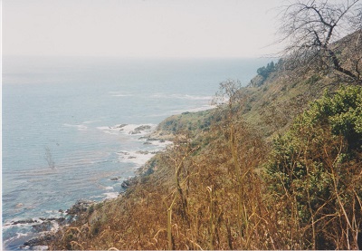 Pacifik 001