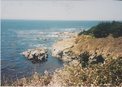 Pacifik 004