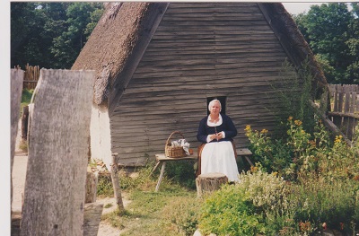 Plant 2 005