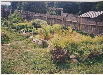 Plant 4 002