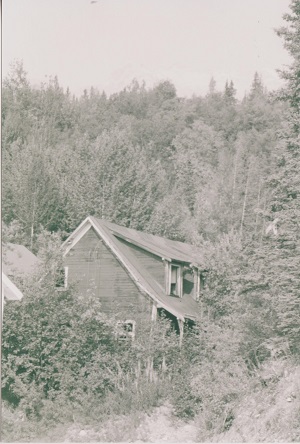 ALA 005