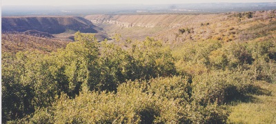 Mesa verde 010