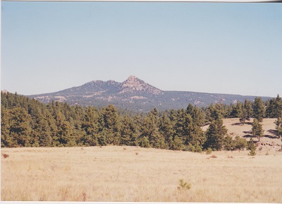 koloredo 004