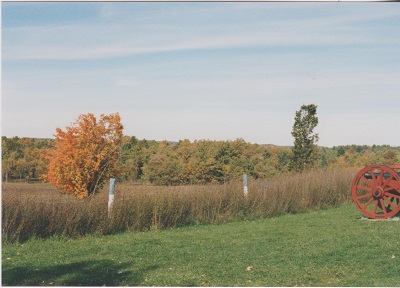 podzim 004