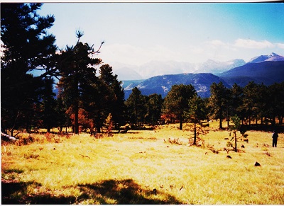 ridge 7
