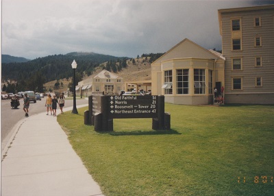 Yellow 2 002