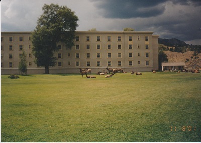 Yellow 2 003