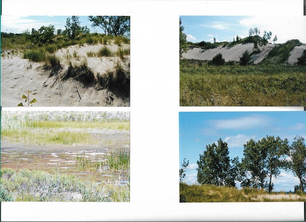 dunes 003
