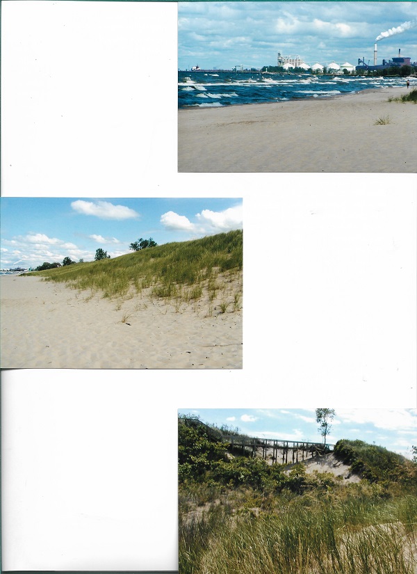 dunes 004