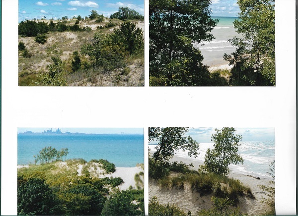 dunes 005