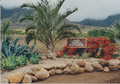 Maui 2 003